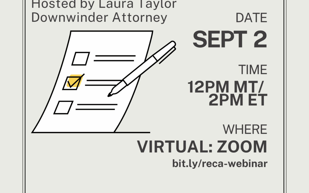 RECA Application How-To